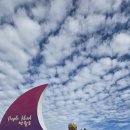 일원1-103 이미지