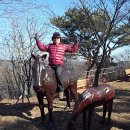 둘레목장 이미지