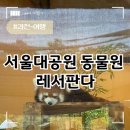 서울대공원 동물원 레서판다 보고온 후기 (+ 패키지 가격 리프트 코끼리열차 유모차)