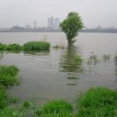 흐르는 강물을 바라 이미지