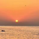 부산터널 1 | 7일차) : 바다 라면, 부산-거제 간 연결도로 홍보...블루 가덕휴게소, 가덕 해저터널, 거제도 흥남해수욕장