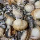 통영한바다 이미지