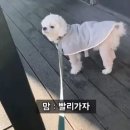 커피안 이미지