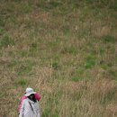 in 섬 story 이미지