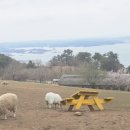 훈이목장 이미지