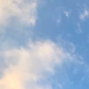 동백바른약국 | 광고 아님! 내돈내산 기록 ｜ 동백서울유치과 임플란트 후기(비용 정보)