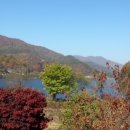 드라마황토펜션 네이버블로그