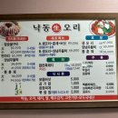 낙동생오리 이미지
