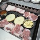 불빛가브리살2