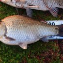 신봉 낚시터 이미지