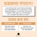 테라화성 이미지