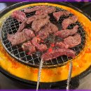 신마포갈매기 이미지