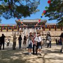 21호선 구도로 | (3탄) 1박2일 경주 여행 필수 코스 불국사, 짐 보관, 대웅전 연등 후기까지