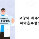 금호동물병원 이미지