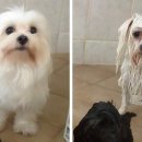 몽글몽글 이미지