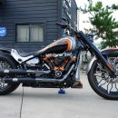 티엠디(TMD) 이미지