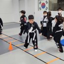 합기도 강인 체육관 이미지