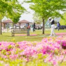 구미파크시장 이미지