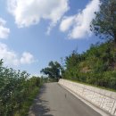 봉황교 주차장 이미지