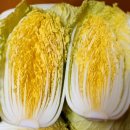 속 노란 맛있는 알배기 쌈배추(특품) .. 푸짐한 꽃 쫑상추 2키로 14,000원/택포 이미지