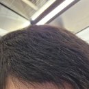 쥬 미용실 | 마곡 미용실 추천 염색 후기 새치커버 흰머리 멈춰