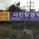 준이네감귤농장