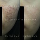 연세지움