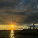 거미상회 | 여행기(2) | 이호테우해변 용담해안도로 일몰 현지인해장맛집 흑돼지 유아동반카페 동쪽맛집 포장후기