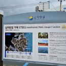 닥터김 동물의료센터 이미지