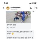 연두민박