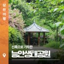 능안 이미지