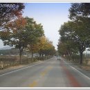 [충남 목천IC/병천] 충남집 .......... 병천 순대, 순대 국밥 이미지