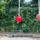 금오초등학교 이미지