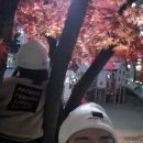 머리자랑 이미지