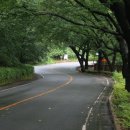 안민고개길 이미지