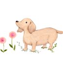 대이목장 이미지