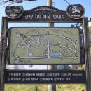 금당엄나무마을 이미지