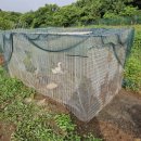 학수농장 이미지