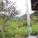 나무와돌펜션 이미지