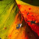 유정한의원 이미지