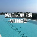 신라세탁 | 강릉 호캉스 추천 ::신라모노그램 강릉 솔직 후기 (수영장·부대시설 총정리)