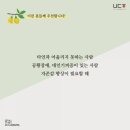 일랑일랑 이미지