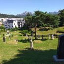 김지남 비갈 및 묘 이미지