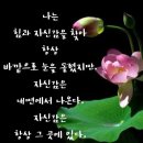 🌺인생(人生)이란 바로 '여기(here)'와 지금(now)'이다. 이미지