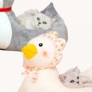 둥지애견 이미지