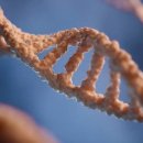 알파수학전문학원 이미지