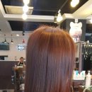 스펠라 헤어 메디컬 이미지