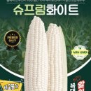 더초당 이미지