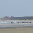 바다로마트 이미지