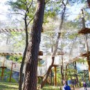 산성계곡 생태공원 내 이미지